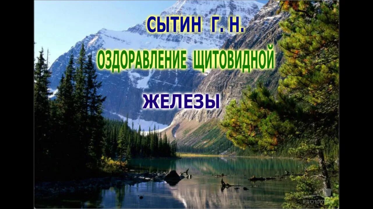 Исцеление щитовидной. Исцеление щитовидной железы настрой Сытина. Настрой Сытина на оздоровление щитовидной железы для женщин. Сытин на оздороаление щитовидной железы. Настрои Сытина на оздоровление.