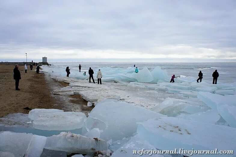 Погода зеленогорск ленинградская область на 10 дней