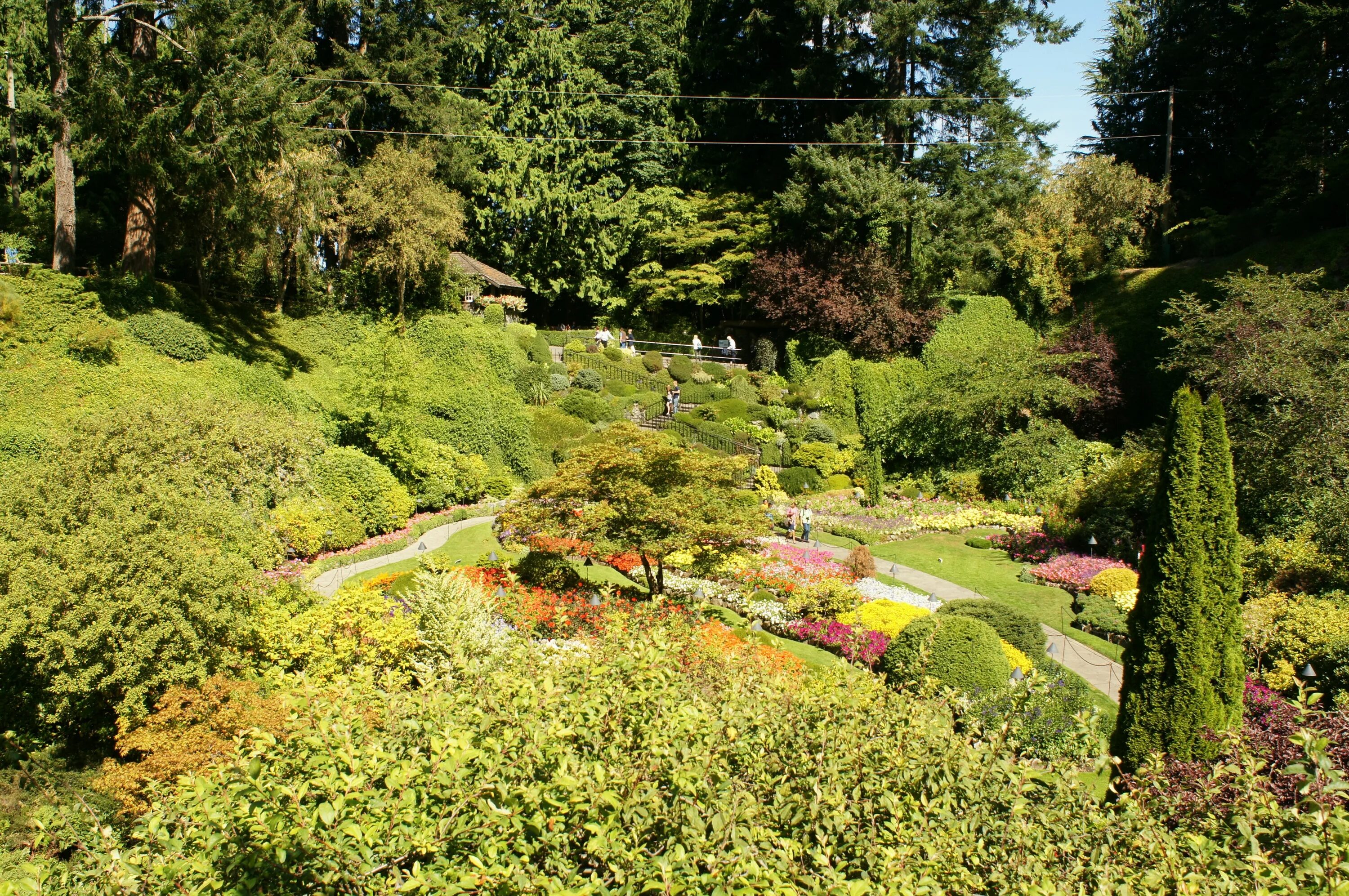 Англия парк викторианский сад. Victoria gardens. Бабочки в канаде. Victoria gardens belfast. Сады бутчартов на карте.