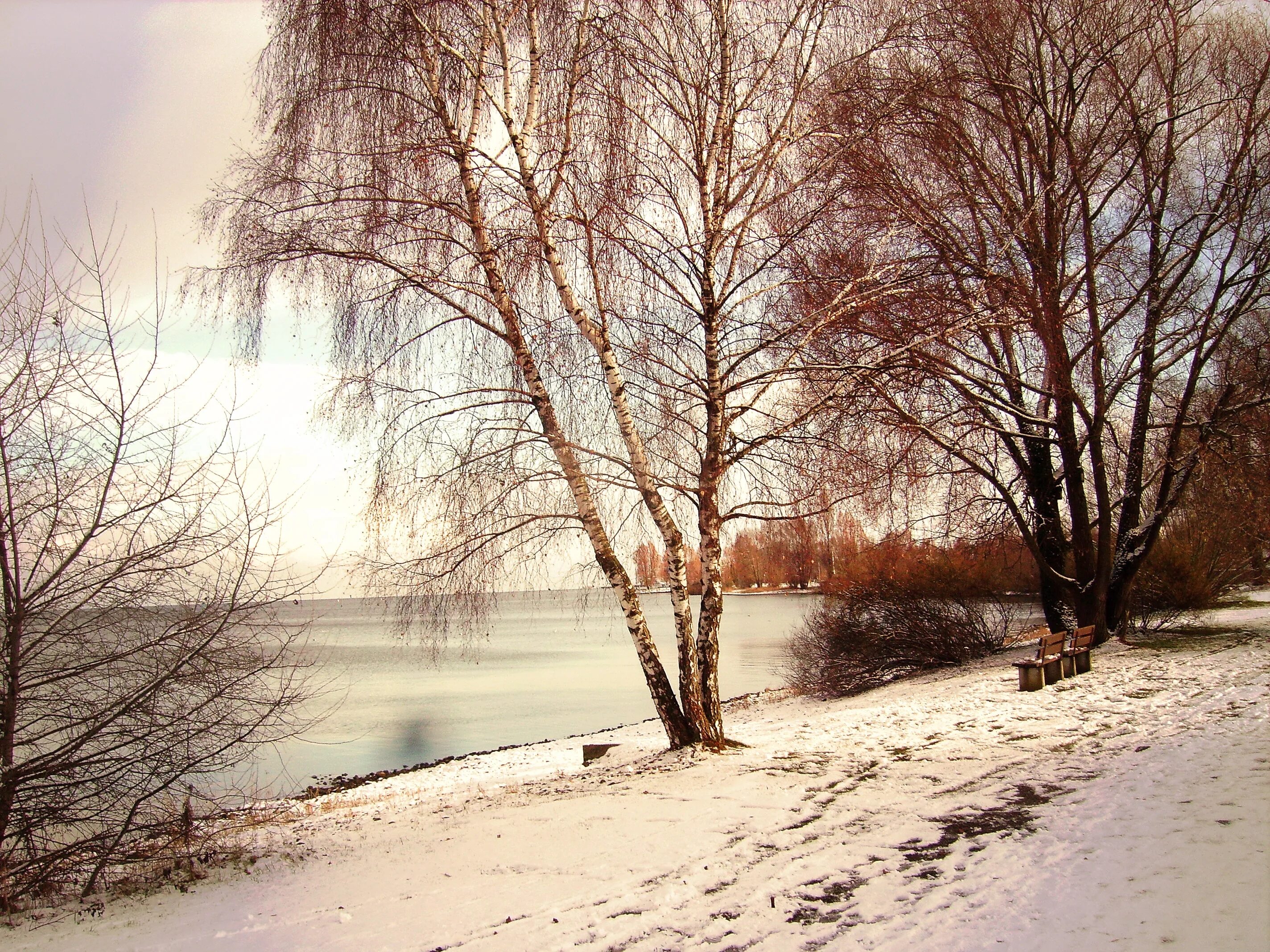 Доброе морозное осеннее. Морозное осеннее утро. Морозное утро осень. Морозное утро ноября. Морозное солнечное утро осени.