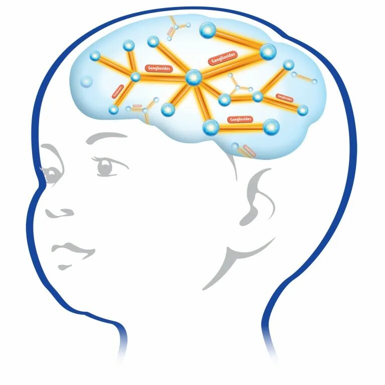 Нарушение мышления интеллекта. Мозг ребенка. Нейропсихология для детей. Мозг для дошкольников. Развитие мозга ребенка.