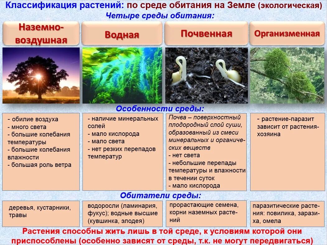 Водоросли верные утверждения. Среда обитания. Среды обитания организмов. Среда обитания растений. Среды обитания живых организмов таблица.