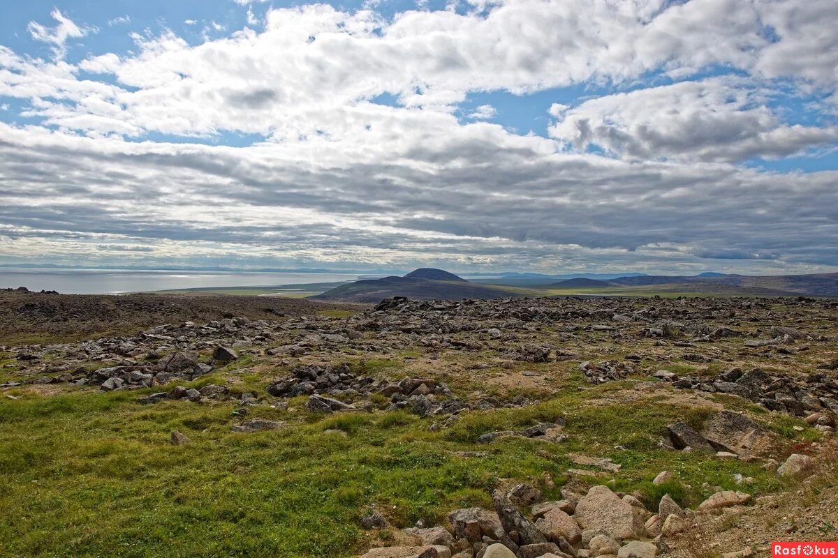 тундра ямала летом. освещенность тундры. чукотка магадан аляска. просторы тундры.