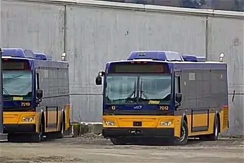 Автобус 7 т. Автобус 7 Санкт-Петербург. Автобус 7 масл.