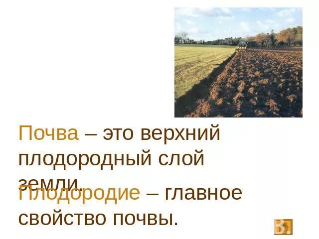 Основное свойство почвы. Главное свойство почвы. Плодородие главное свойство почвы. Верхний плодородный слой почвы. Плодородие это свойство почвы которое