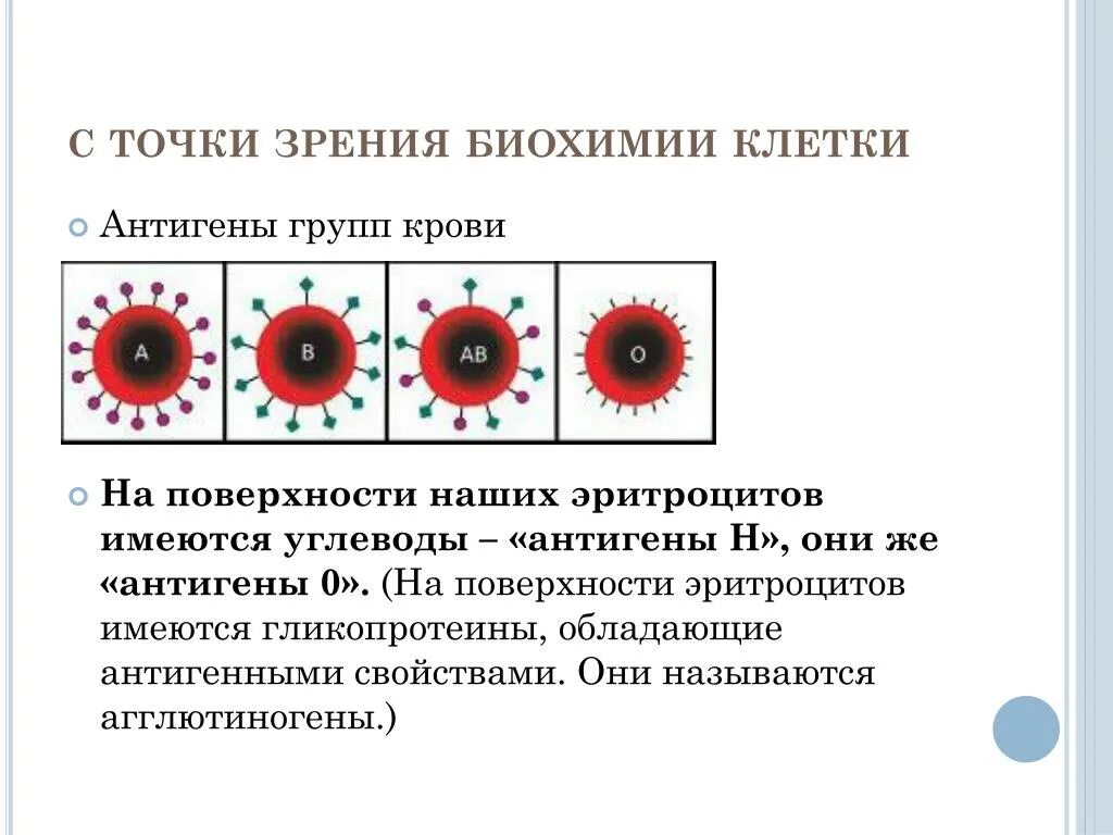 Антигены групп крови. Антиген h группа крови. Группы крови антигены эритроцитов. Группы крови антигены эритроцитов биохимия. Эритроцитарные группы крови