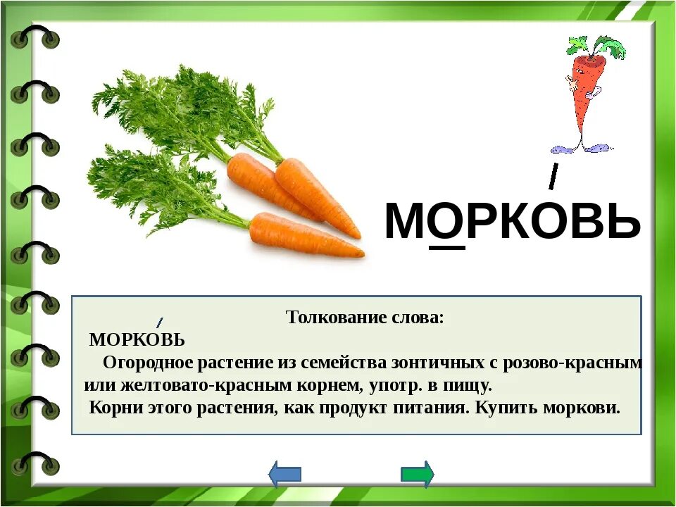 Корень в слове овощи. Доклад про морковь. Морковь словарное слово. Морковка для презентации. Сл сл морковь.