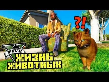 Коты в гта 5