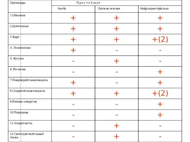 Различие простейших. Органоиды инфузории туфельки таблица. Инфузория-туфелька органоиды функции таблица. Органоиды инфузории туфельки и их функции таблица 7. Органоиды простейших таблица.