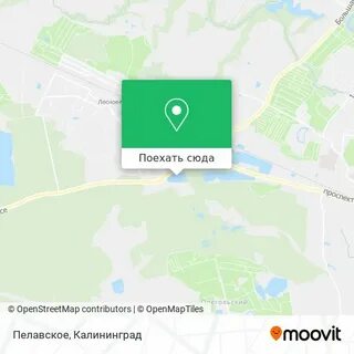 Карта купавны московской