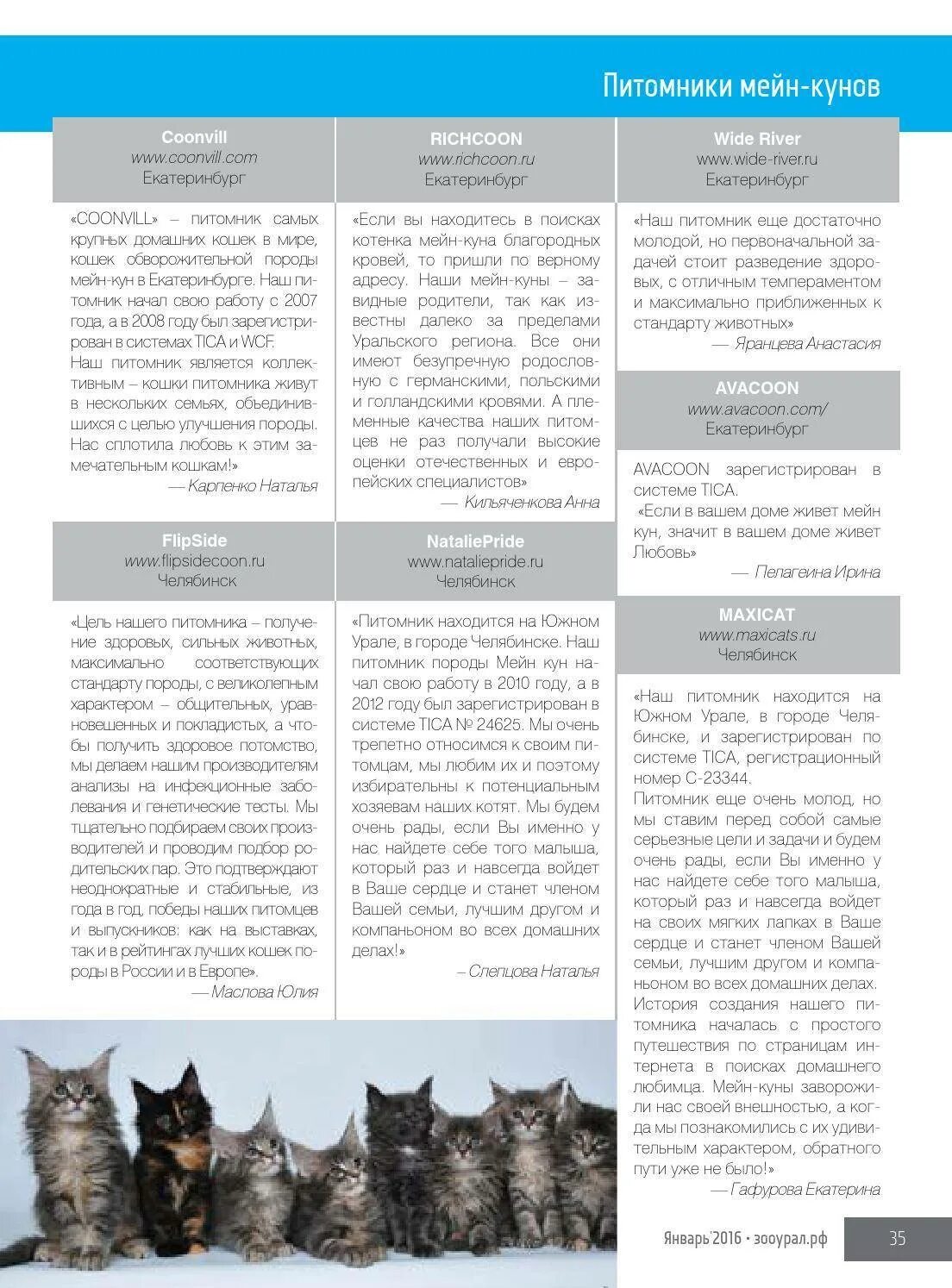 Какой корм для котенка мейн кун. Таблица мейн кунов. рацион питания мейн куна. еда для мейн кунов. таблица кормления котят мейн кун.