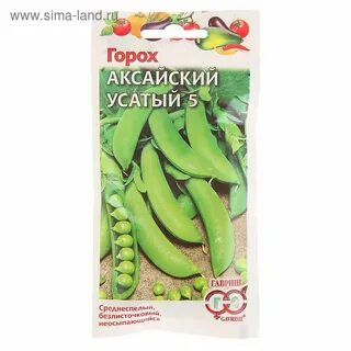 Сорт усатого гороха