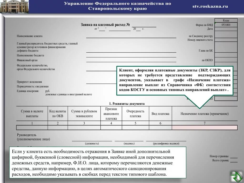 Заявка на оплату расходов. Форма 0531801. Счет на оплату для казначейства. Код направления расходов. Казначейство коды цели