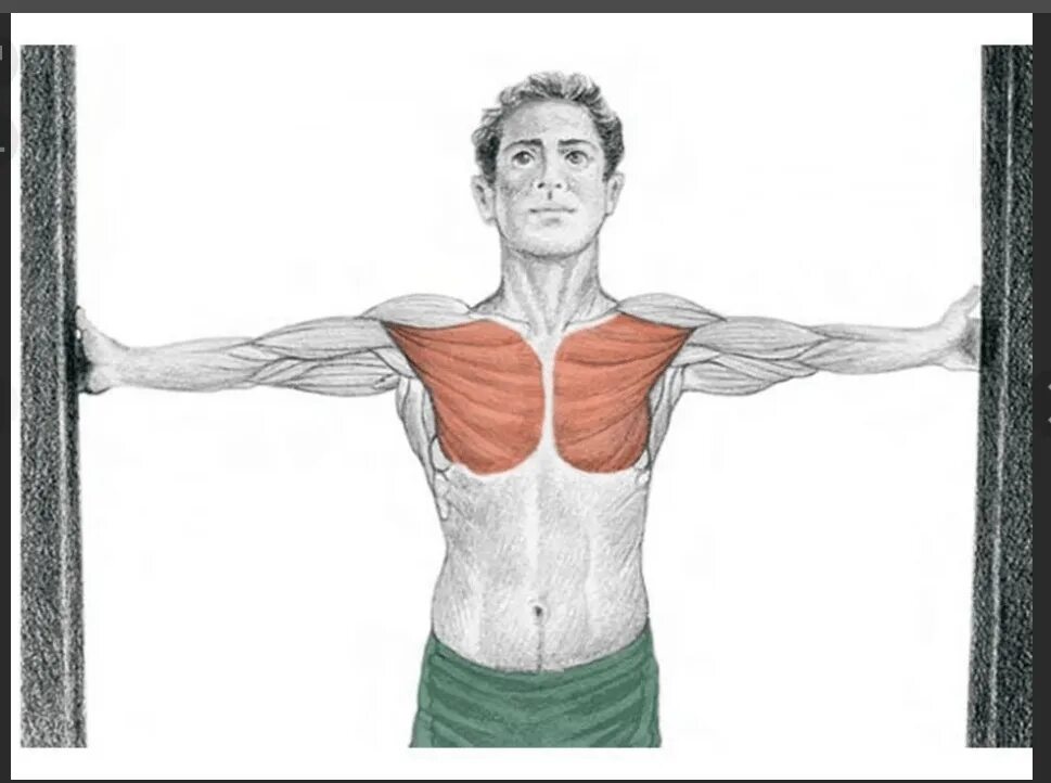 Растягивание грудных мышц. Растяжка мышц груди. Растягивание мышц грудной клетки. Растяжка грудных мышц упражнения.