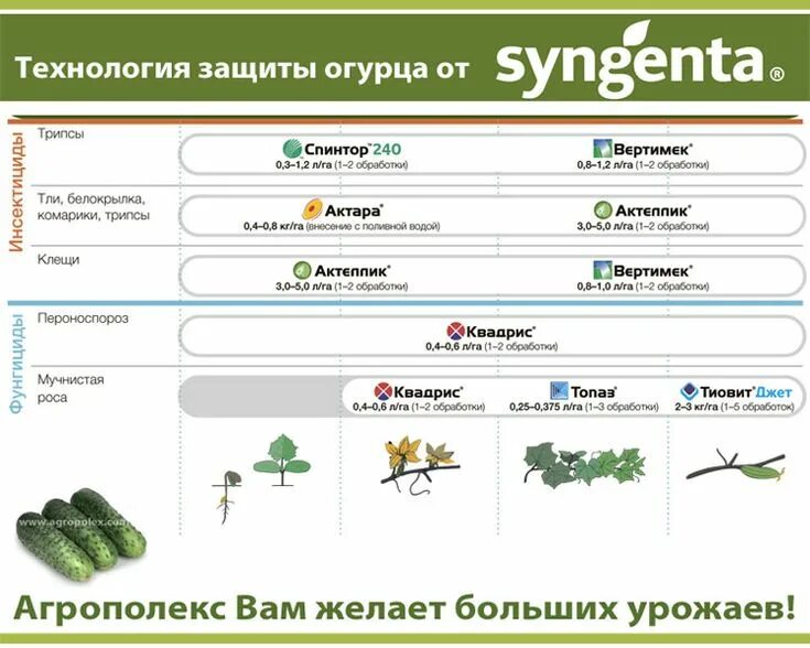 Схема удобрения огурцов в открытом грунте. Схема защиты огурца в открытом грунте. Схема защиты огурца в защищённом грунте. Схема защиты томатов открытого грунта. График подкормки томатов