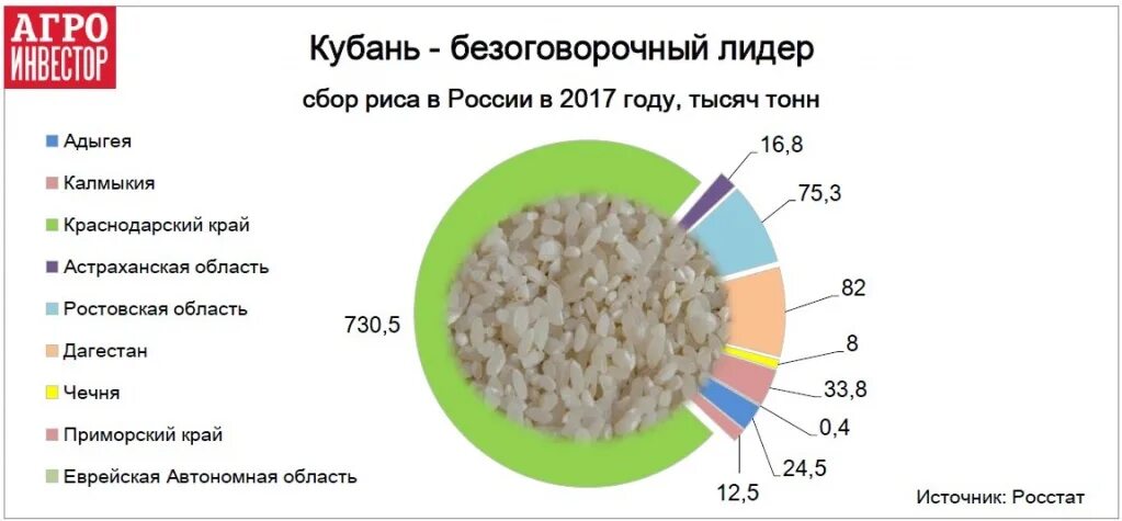 Растет ли рис в России. Рис выращивают в России. Где выращивают рис в России. Производство риса. Во сколько раз увеличивается объем риса
