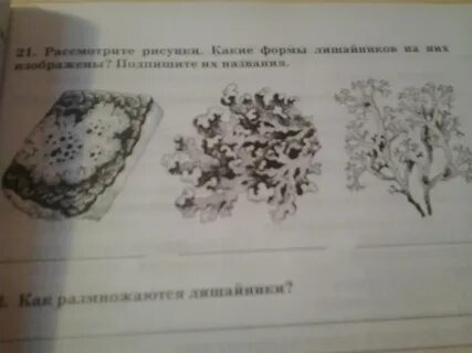 Подпиши названия процессов изображенных на картинке