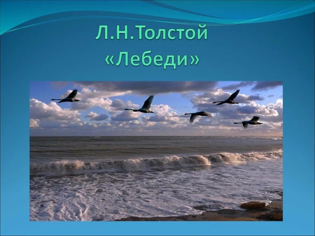 Лев Николаевич толстой лебеди. Л Н толстой лебеди. Урок чтения лебеди толстой. Лебеди л.н.толстой план. Лебеди толстого 3 класс