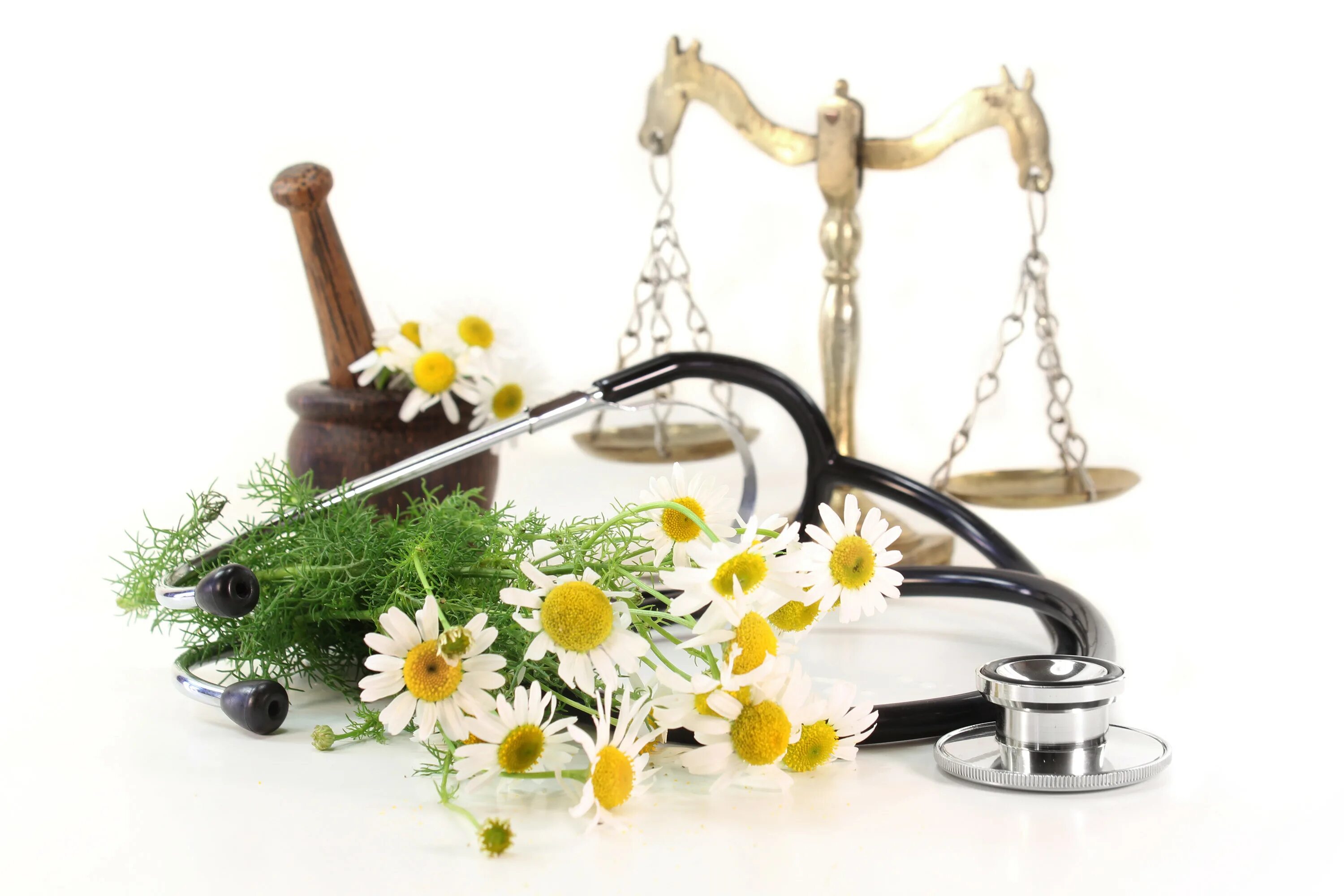 Цветы медикам. Фонендоскоп и цветы. Фитотерапия в медицине. Нетрадиционная медицина.
