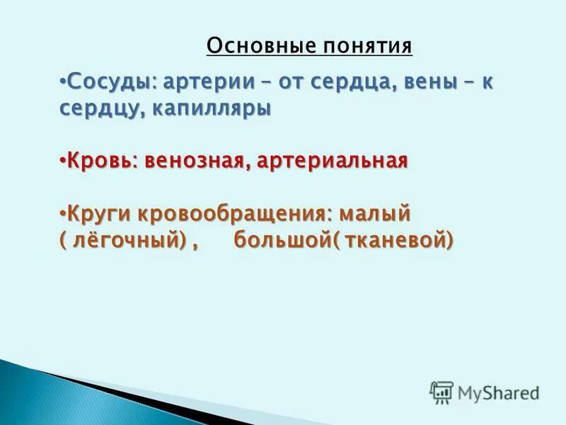 сосуды микроциркуляции строение. схема микроциркуляторного русла кровообращения. механизмы обмена веществ между кровью и тканями. строение микроциркуляторного русла физиология. сосуды понятие.
