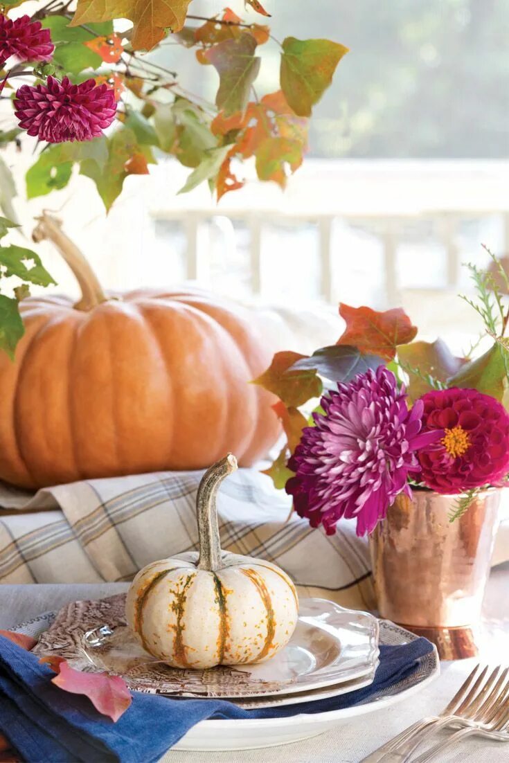Осень тыква цитаты. Осенний пейзаж с тыквами фото. bella pumpkin.