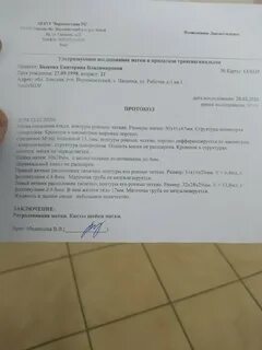 Анализ желтого тела