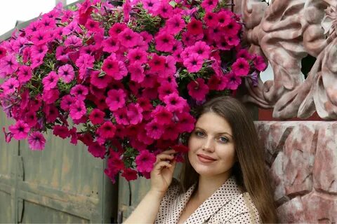 Петуния рязань