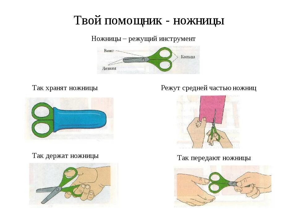 Как правильно писать режешь. Как научить ребенка правильно держать ножницы. как правильно держать ножницы детям. как правильно держать ножницы детям дошкольного.