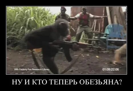 Обезьяна автомат видео