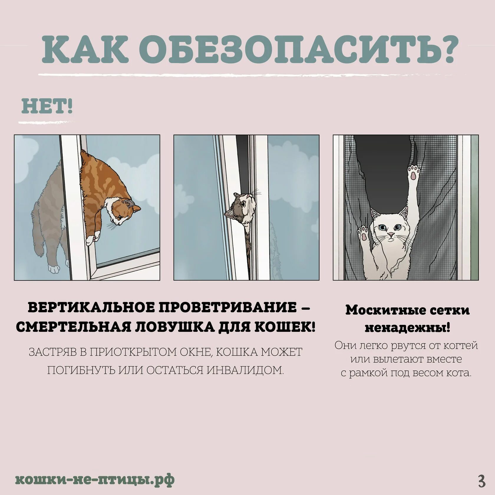 Вертикальное проветривание и кошки. Вертикальное проветривание опасно для кошек. Опасность окон для кошек. Кошки и окна на проветривание.