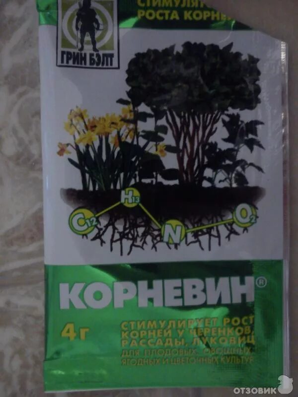 Корневин зеленая аптека садовода. Корневин осенью при посадке. Корневин 8г (мосагро) х250. Корневин для хвойных. Корневин8гр мосагро.