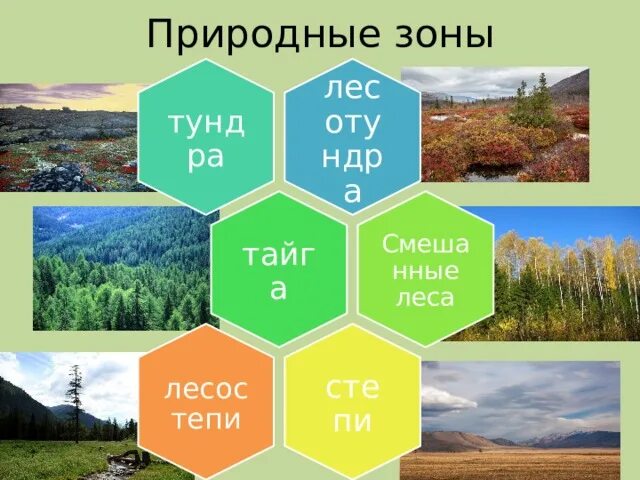 Пространство сибири 9 класс презентация. Пространство Сибири география 9 класс. Пространство Сибири презентация. Урок по географии в 9 классе пространство Сибири. Сибирь пространство Сибири презентация 9 класс Полярная звезда.