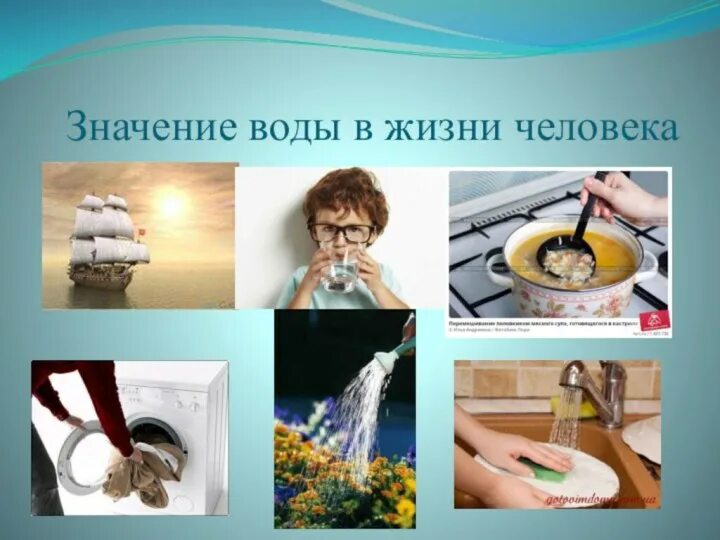 Проект значение воды для жизни Таблица вода в жизни животных фото