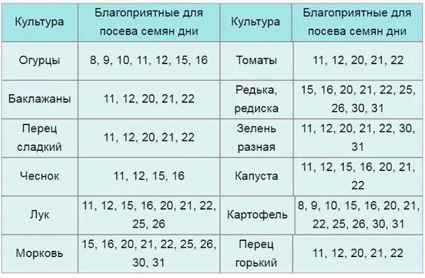 Какого числа сажать перец в феврале 2024. Посадка перца на рассаду в феврале по лунному календарю. Благоприятные дни для посадки перца в феврале. Благоприятные дни для посадки перца на рассаду в феврале. Благоприятные дни для посева перца в 2023 году.