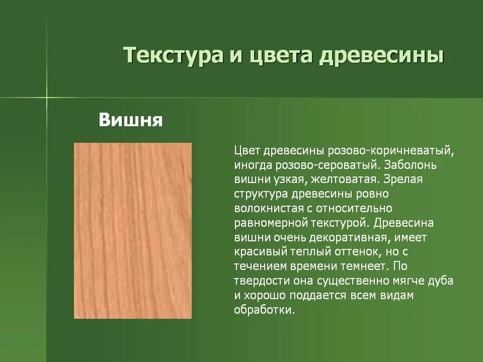 Теплый цвет дерева. Вишня древесина. Вишня структура древесины. Цвет древесины. Характеристика древесины.