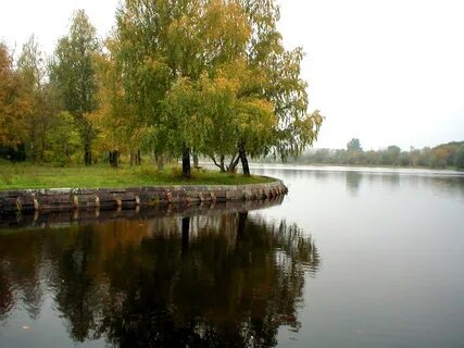 Березка вышнего волочка