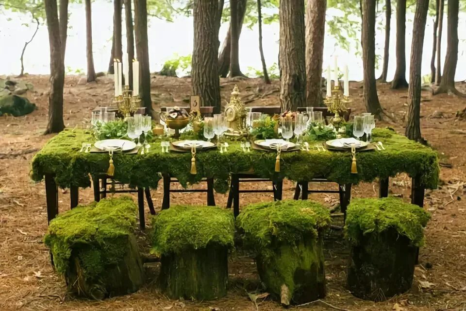 музыкальная сказка утро в лесу после банкета. шишкин иван иванович утро в сосновом бору. сценка утро в лесу после банкета видео. свадебный декор в лесу. свадьба в лесу фотосессия.