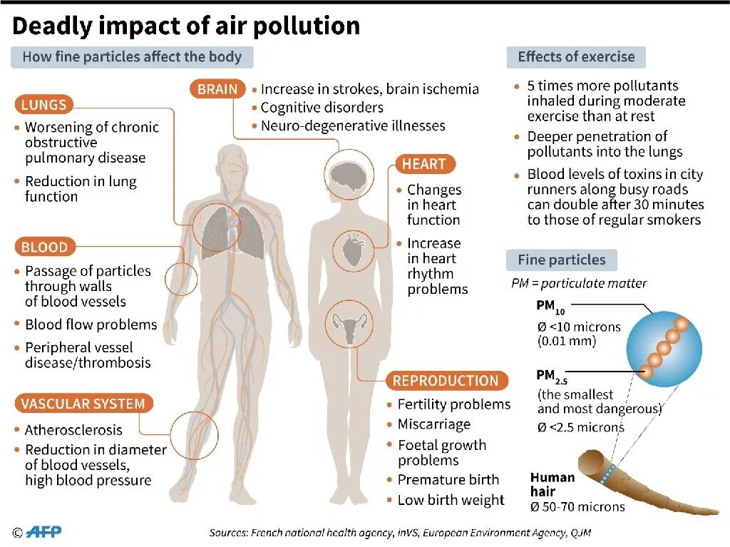Impact of Air pollution. Effects of Air pollution. Air pollution Health Effects. Effects of Air pollution on Human Health. Reduce disease