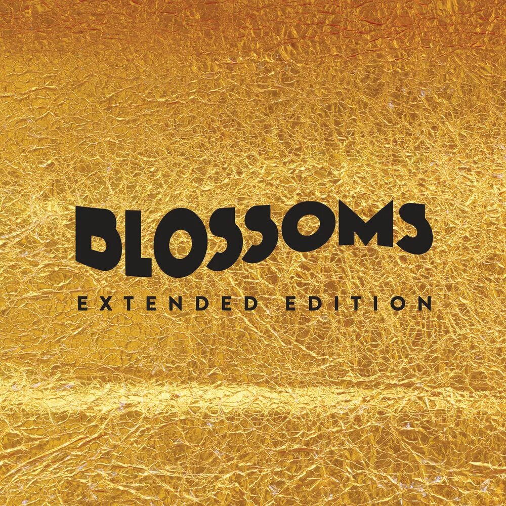 Blossoms band. Blossoms слушать. Blossoms слушать. Blossoms слушать. Blossoms слушать.