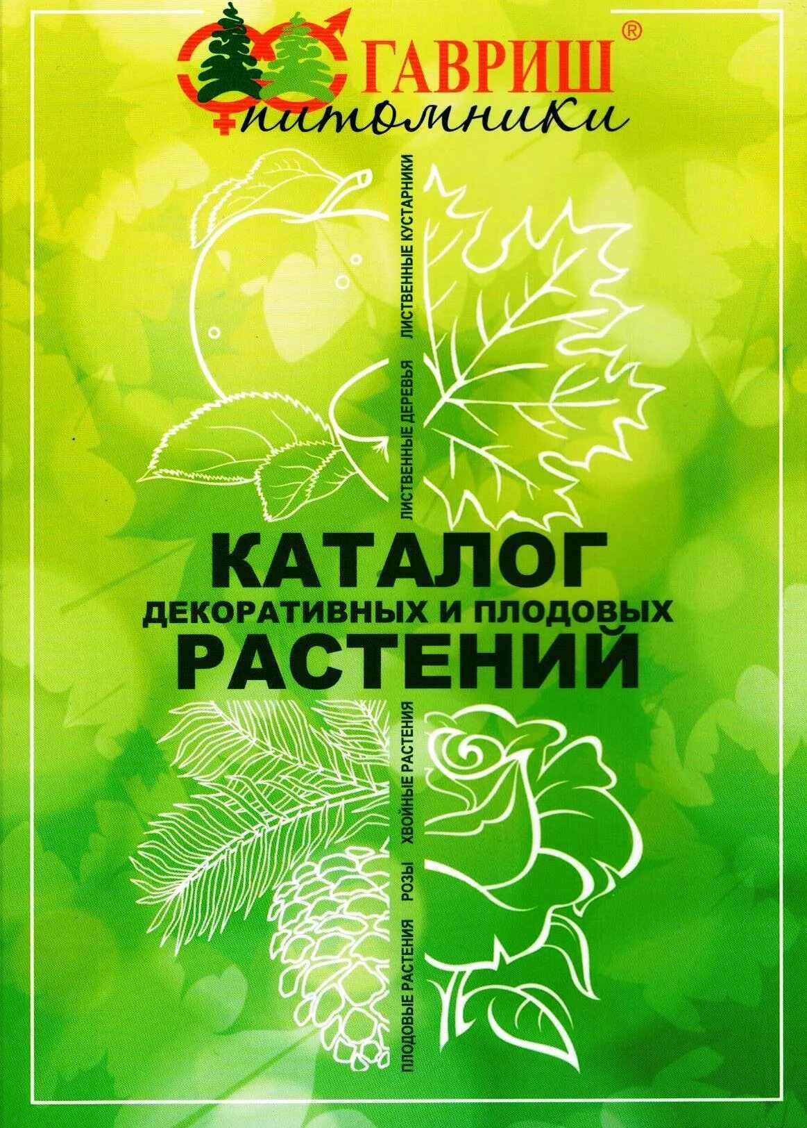 Питомник гавриш. Гавриш Славянск на Кубани питомник. Питомник Гавриш в Тульской каталог. Гавриш в берете.