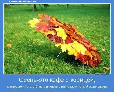 Первый день осени юмор