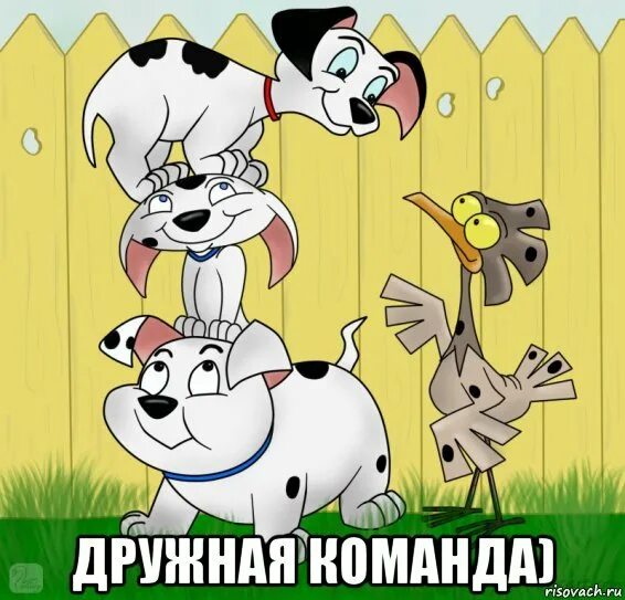 Спой птичка. Спой команду. Споемте друзья. Щас спою фото. Команда смешные картинки.