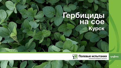 Гербицид для сои