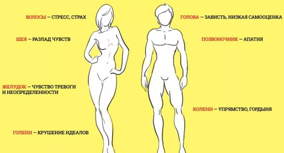 Женская и мужская сторона тела. Психосоматическая карта тела. Психосоматика части тела. Левая сторона тела женская.