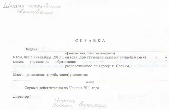 Справка о том что ребенок посещает кружок. Справка о том что ребенок посещает кружок образец. Справка о посещении Кружка для школы. Справка в школу о том что ребенок посещает дополнительные занятия. Справка из школы в мэш