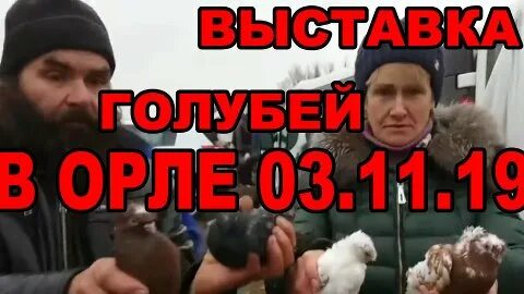 Выставки голубей в 2024 году в воронеже
