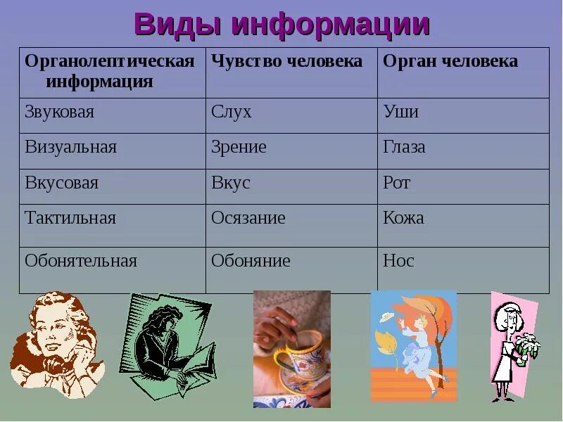 Определите тип информации. Виды информации. информация виды информации. вид информации чувство орган. виды информации для человека.