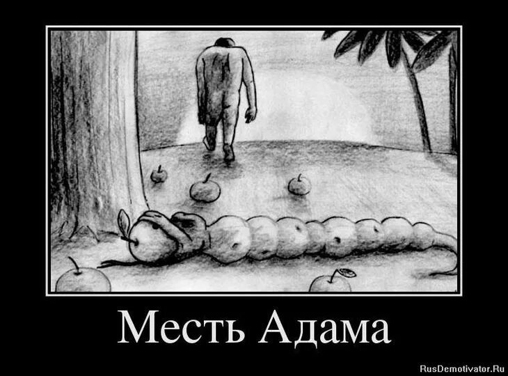 Мстя картинки. Месть прикол. смешные высказывания про месть. месть демотиватор. месть смешные картинки.