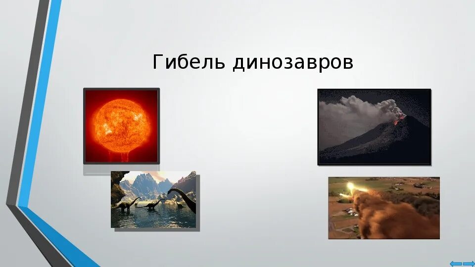 Жизнь динозавров на планеты земля. Жизнь и гибель динозавров на планете земля. жизнь и гибель динозавров проект.