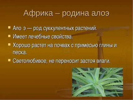 Отечество какой род